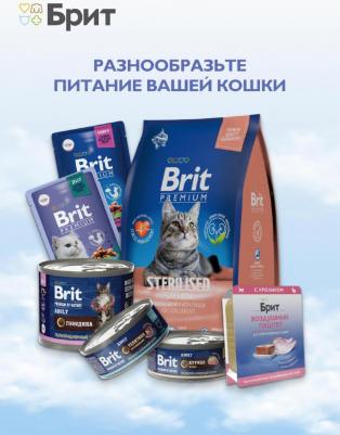 Воздушный паштет для котят с телятиной - 100 г х 14 шт – фото 6