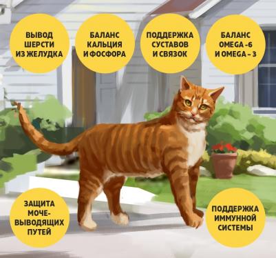 Сухой корм Adult Cat Hairball Control Low Grain Beef & Rice низкозерновой с говядиной и рисом для кошек 2кг – фото 3