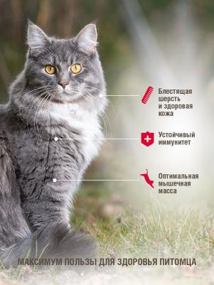 Сухой корм для кошек Adult, мясное ассорти, 10кг – фото 5