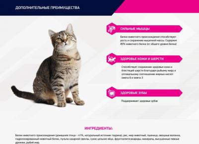 Сухой корм Adult Cat Top Condition Rich in Poultry с домашней птицей для взрослых кошек 10кг – фото 1