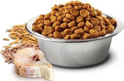 Сухой корм N&D Adult Cat Ocean Codfish, Spelt, Oats & Orange c треской, спельтой, овсом и апельсином для взрослых кошек 1,5кг – фото 14