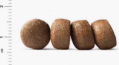 Сухой корм N&D Adult Cat Ocean Herring & Orange c сельдью и апельсином для взрослых кошек 300г – фото 5