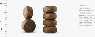 Сухой корм Salmon & Tuna с лососем и тунцом для взрослых кошек 10кг – фото 6