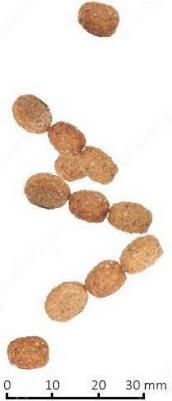 Сухой корм VET LIFE Feline Neutered Male диета для кошек 10 кг – фото 12