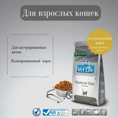 Сухой корм VET LIFE Feline Neutered Male диета для кошек 10 кг – фото 15