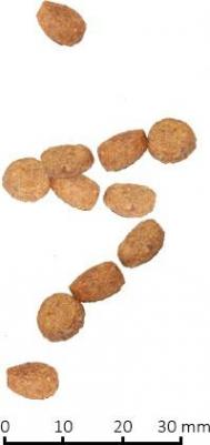 Сухой корм Vet Life Neutered Female Feline диета для стерилизованных кошек 2кг – фото 2