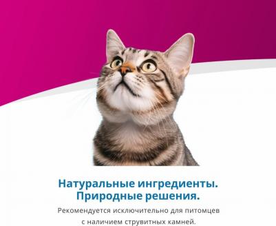 Сухой корм Vet Life Struvite Management Feline диета при МКБ и идиопатическом цистите для кошек 2кг – фото 7