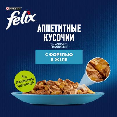 Аппетитные Кусочки влажный корм для взрослых кошек всех пород, форель в желе – фото 6