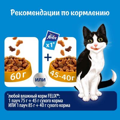 Сухой корм для кошек Мясное объедение, говядина, 0.63кг – фото 17