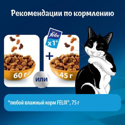 Сухой корм для кошек Мясное объедение, говядина, 0.63кг – фото 19