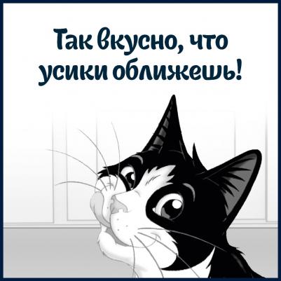 Влажный корм для кошек кусочки говядина/овощи, 85 г 7613034482617 – фото 17
