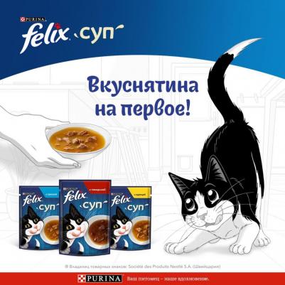 Влажный корм для кошек суп с курицей 48 г – фото 8