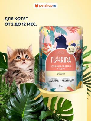 Паучи для котят: кусочки с лососем в соусе, 85 г – фото 1