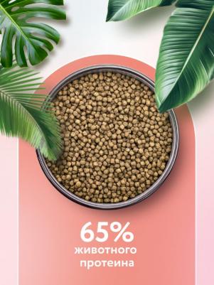 Сухой корм взрослых стерилизованных кошек с лососем и черникой, 4 кг – фото 2