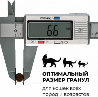 беззерновой корм для котят и кошек всех возрастов с лососем, треской, фруктами и овощами, GRAIN FREE Salmon&CodFish, 7,26 кг – фото 14