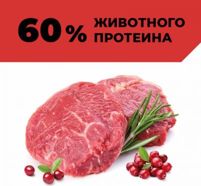 Холистики консервы 4670236593926 – фото 3