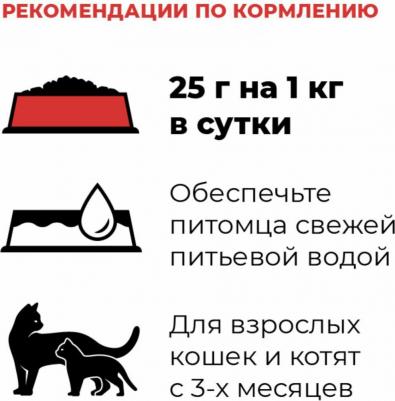 Холистики консервы 4670236593926 – фото 5