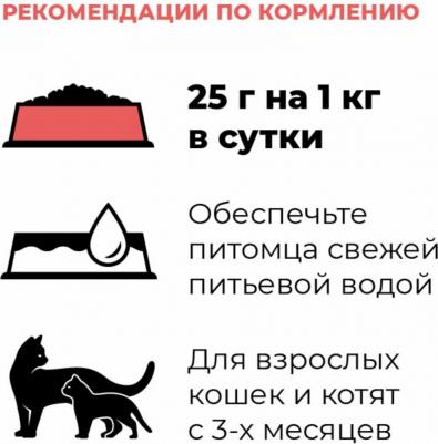 Холистики консервы 4670236593988 – фото 2