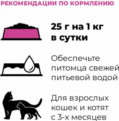 Холистики консервы 4670236595357 – фото 4