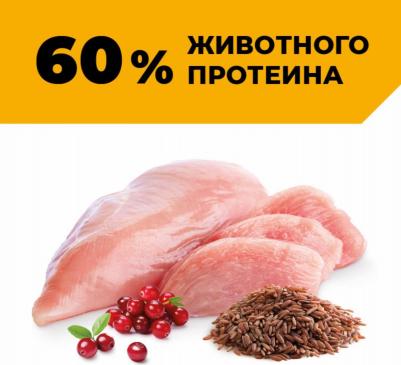 консервы полнорационные для взрослых кошек и котят с курицей, HAIR&SKIN CARE Chicken, 100 г – фото 10