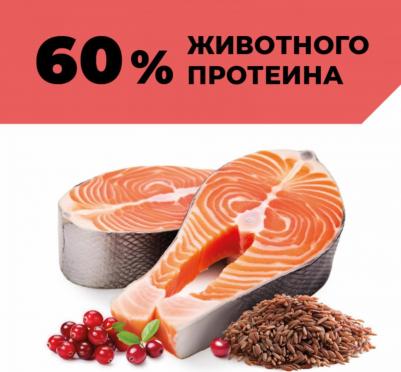 консервы полнорационные для взрослых кошек и котят с лососем, HAIR&SKIN CARE Salmon, 100 г – фото 13