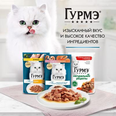 Влажный корм Натуральные рецепты для кошек, с курицей на пару и морковью, 75гр – фото 11