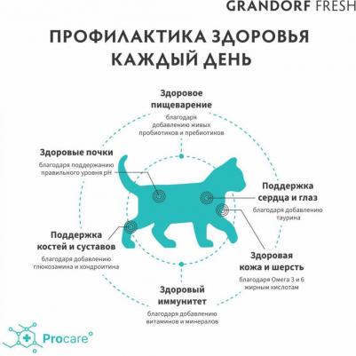 Kitten сухой корм для котят, с ягненком и бататом, беззерновой - 400 г холистик беззерновые для котят с ягненком для всех пород мешок Бельгия 1 уп. х – фото 8