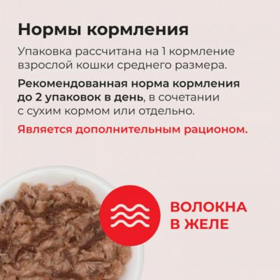 Kinnodashi влажный корм для кошек, тунец магуро и тунец кацуо (60 гр) – фото 1