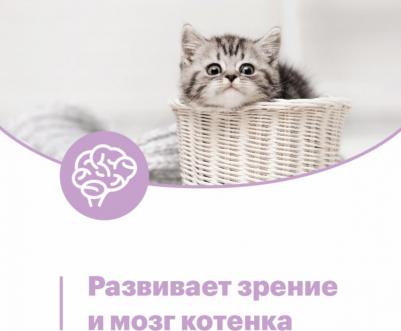бокс 12 шт. Паучи для котят с курицей в желе до 1 года, беременных и кормящих кошек – фото 2