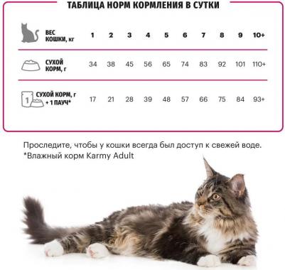 Сухой корм Adult Cat Телятина для взрослых кошек 10кг – фото 9