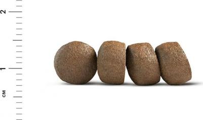 Сухой корм Adult Cat Телятина для взрослых кошек 10кг – фото 15