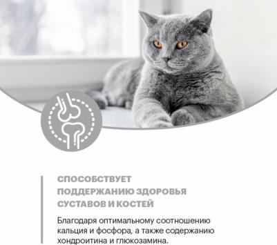 Сухой корм British Shorthair Adult Cat Индейка для кошек породы британская короткошерстная 10кг – фото 6