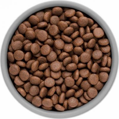 Сухой корм British Shorthair Adult Cat Индейка для кошек породы британская короткошерстная 10кг – фото 13