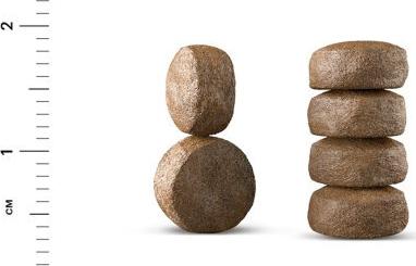 Сухой корм British Shorthair Kitten Индейка для котят, беременных и кормящих кошек породы британская короткошерстная 10кг – фото 2