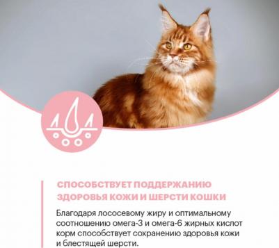 Сухой корм для кошек Delicious, для привередливых, с курицей, 10кг – фото 4