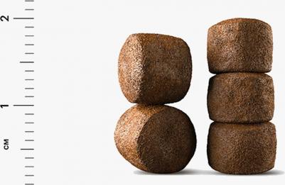 Сухой корм для кошек с индекой для Мэйн Кунов 1,5 кг – фото 1