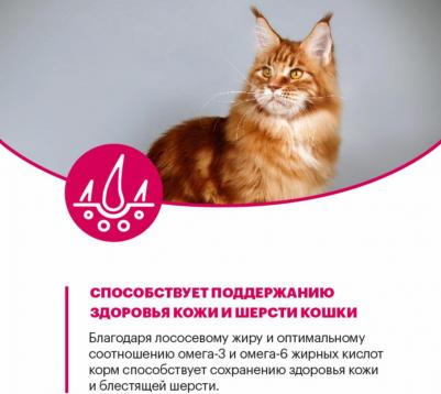 Сухой корм для кошек с телятиной 1,5 кг – фото 3