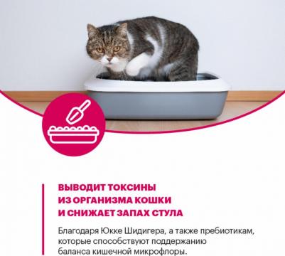 Сухой корм для кошек с телятиной 1,5 кг – фото 7