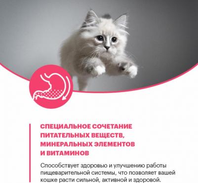 Сухой корм для кошек Sensitive, индейка, 0,4кг – фото 6