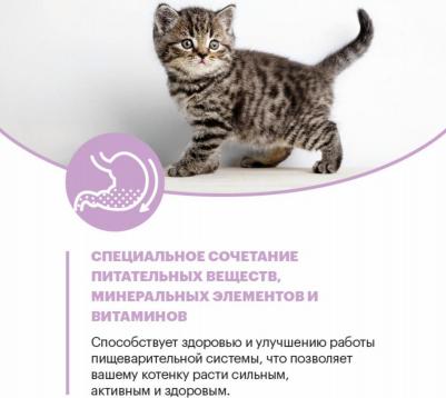 Сухой корм Kitten Индейка для котят, беременных и кормящих кошек 10кг – фото 12