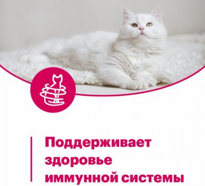 Влажный корм для кошек ADULT, курица в соусе, 24шт, 80г – фото 6