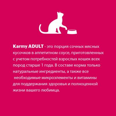 Влажный корм для кошек ADULT, курица в соусе, 24шт, 80г – фото 10