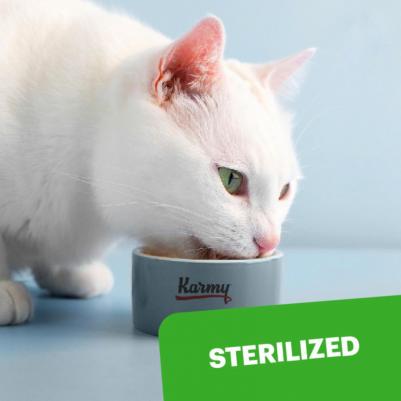 Влажный корм для кошек Sterilized, курица в желе 12 шт по 80 г – фото 1