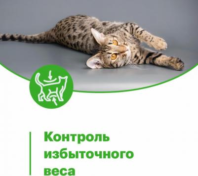 Влажный корм для кошек Sterilized, курица в желе 12 шт по 80 г – фото 10