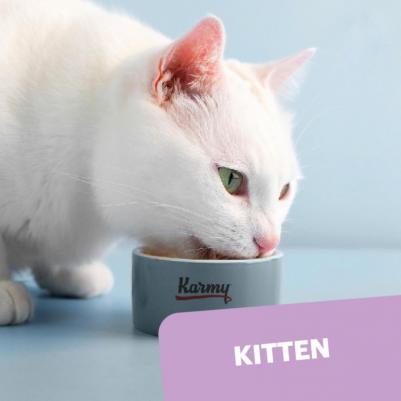 Влажный корм для котят, беременных и кормящих кошек Kitten с телятиной 80 г – фото 11