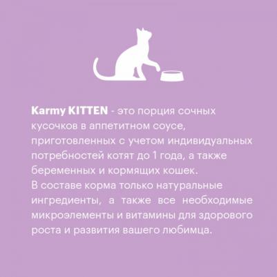 Влажный корм для котят, телятина в соусе, 12 шт по 80 г – фото 5