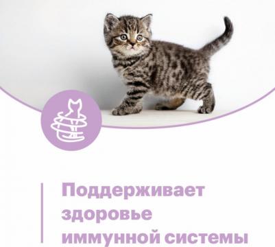 Влажный корм для котят, телятина в соусе, 12 шт по 80 г – фото 6