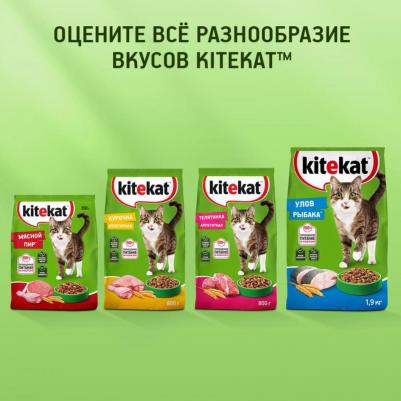 Сухой корм для кошек мясной пир 800 г – фото 11
