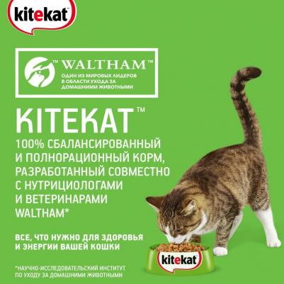 Сухой корм для кошек улов рыбака 1.9кг – фото 12