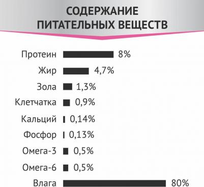 Expert влажный корм для кошек, Бережная забота о пищеварении, курица – фото 14